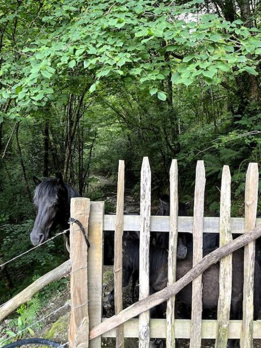 Casa Rural Gaztandizabal 아이아 외부 사진